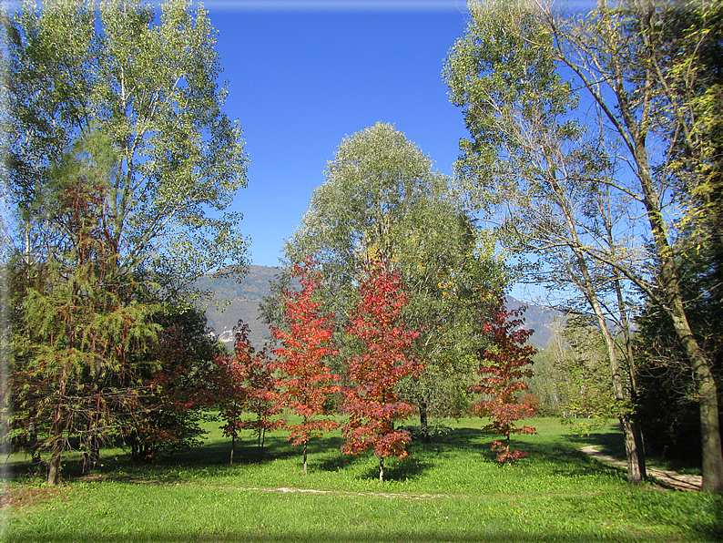 foto Oasi San Daniele